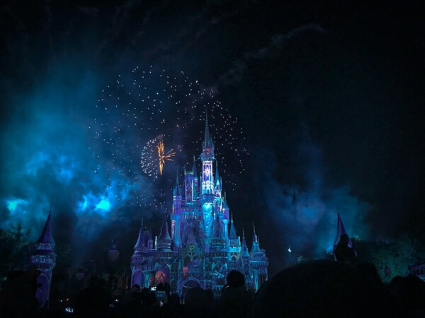 Disney & Universal Vacations