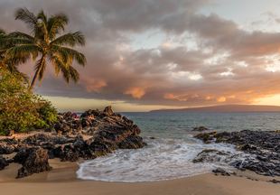 Hawaiian Vacations